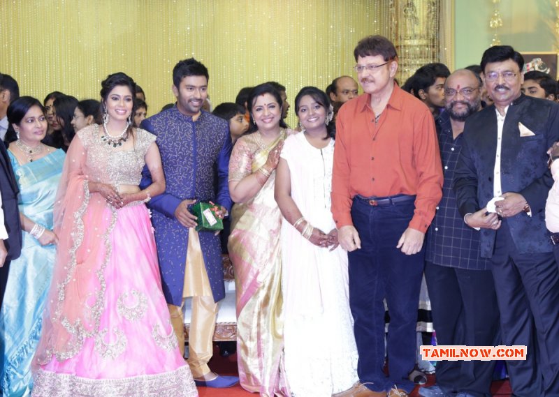 Shanthnu Keerthi Wedding Reception Function Aug 2015 Gallery 541