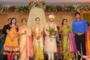 Shivaji Family Wedding Reception Image 407