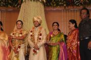 Shivaji Family Wedding Reception Image 62