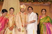 Shivaji Family Wedding Reception Images 381