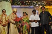Shivaji Family Wedding Reception Photo 192