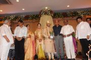 Shivaji Family Wedding Reception Photo 38