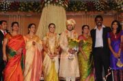 Shivaji Family Wedding Reception Photo 621