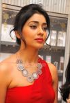 Shriya Saran At Wings Of Fantasy Launch At Swarovski Store Photo 968