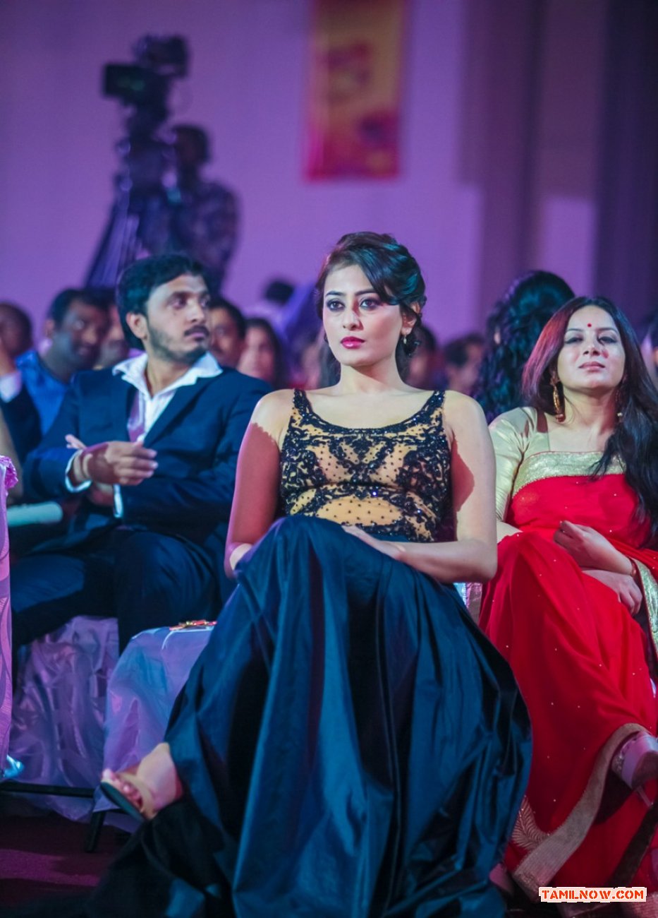 Siima 2013 Day 2 Stills 2148