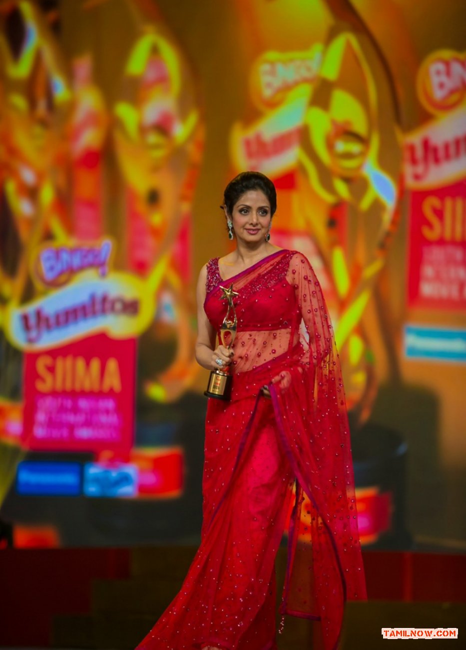 Sridevi At Siima 2013 837