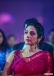 Yesteryear Actress Sridevi At Siima 2013 513