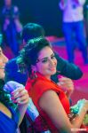 Siima 2013 Dubai 1st Day 3223