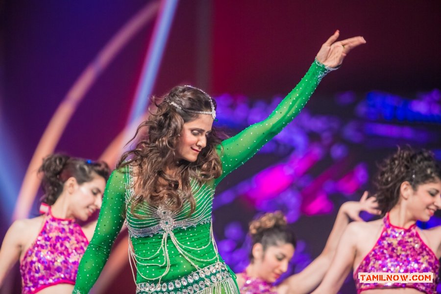 Siima 2013 Dubai 1st Day Photos 943