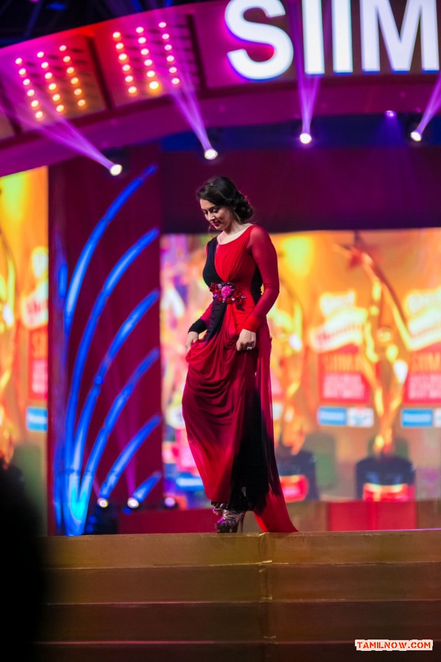 Siima 2013 Dubai 1st Day Stills 2307