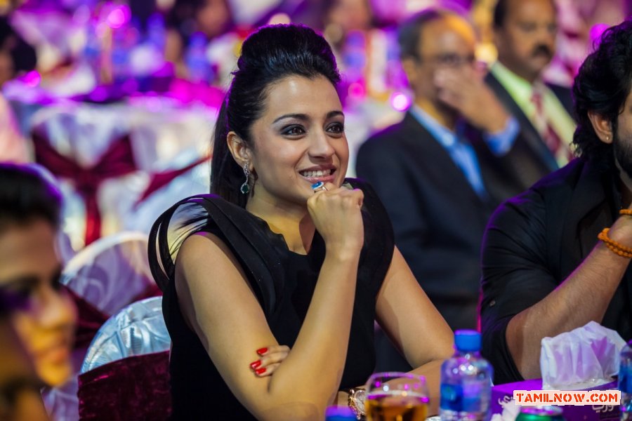 Trisha Krishnan At Siima 2013 666