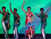 Deeksha Seth At Siima Awards 161