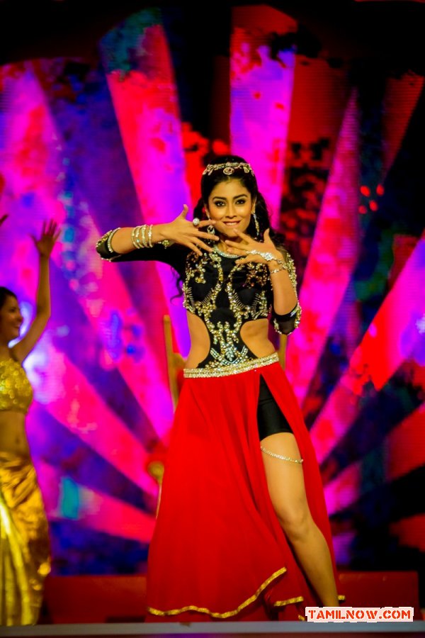 Actress Shriya Saran Dance At Siima Awards 2014 404