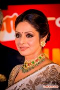 Actress Sreedevi At Siima Awards 2014 410
