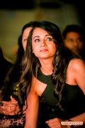 Actress Trisha Krishnan At Siima Awards 2014 925