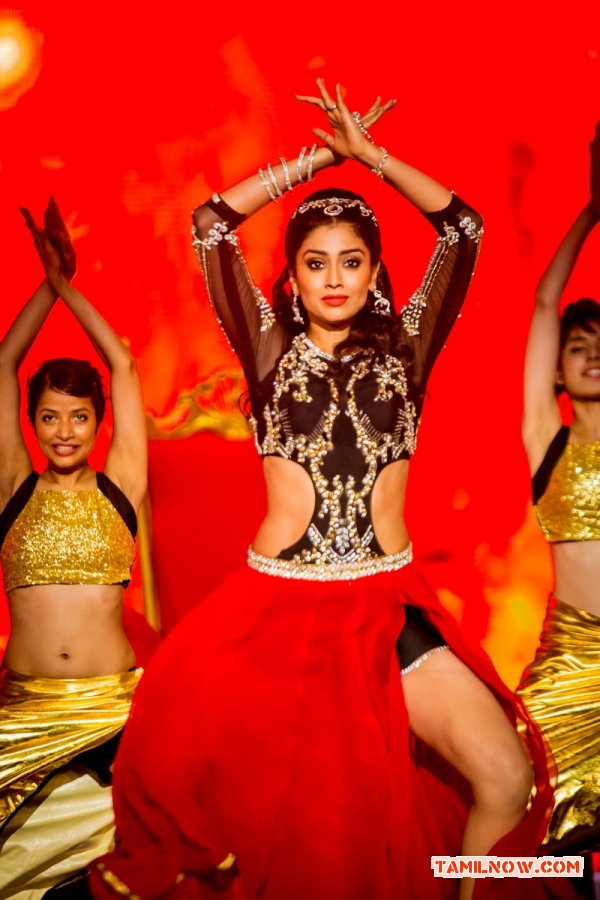 Shriya Saran Dance At Siima Awards 2014 88