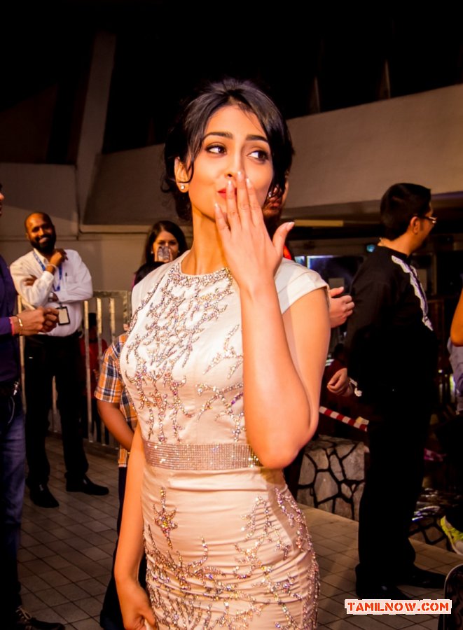 Shriya Saran At Siima Awards 2014 648