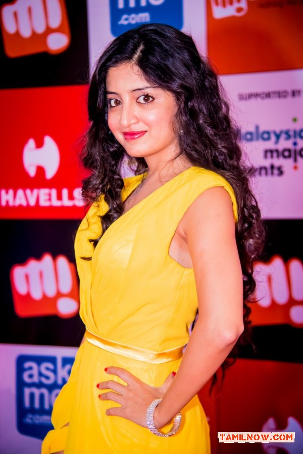 Siima Awards 2014 Photos 8849