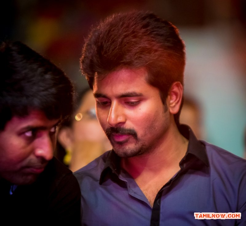 Siva Karthikeyan At Siima Awards 2014 591