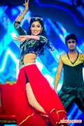 Tamil Actress Shriya Dances At Siima Awards 2014 713