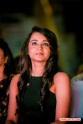 Trisha Krishnan At Siima Awards 2014 301