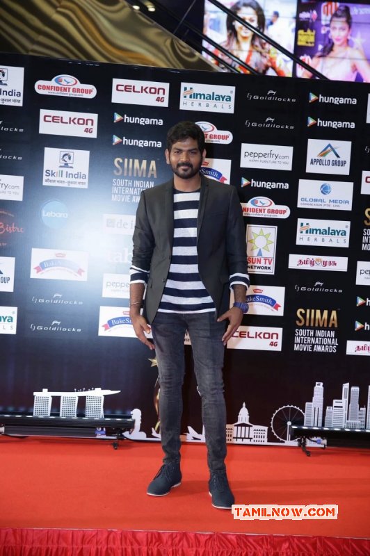 2016 Pics Siima Awards 2016 Tamil Function 7347