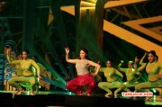 Latest Image Tamil Event Siima Awards 2016 5810