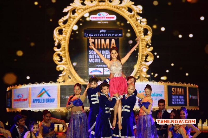 New Pictures Siima Awards 2016 Tamil Function 8243