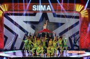 Sayyeshaa At Siima Awards 2016 917