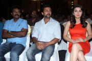 Singam 2 Press Meet 2771