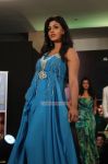 South Actress Iniya 576
