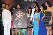 Southscope Calendar Launch 2013 8102