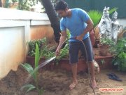 Suriyas My Tree Challenge 5015
