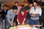 Tamannah Birthday At Thozha Sets Tamil Event 2015 Stills 2537