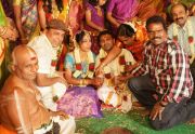 Thambi Ramaiah Daughter Marriage Photos 8740