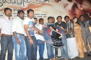 Theriyama Unne Kadhalichiten Audio Launch 5782