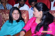 Pics Touring Talkies Audio Launch Function 8331