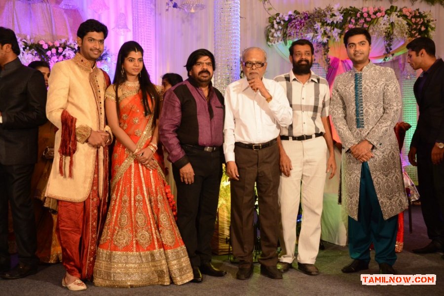 T Rajendran Daughter Wedding Reception With K Balachander 856