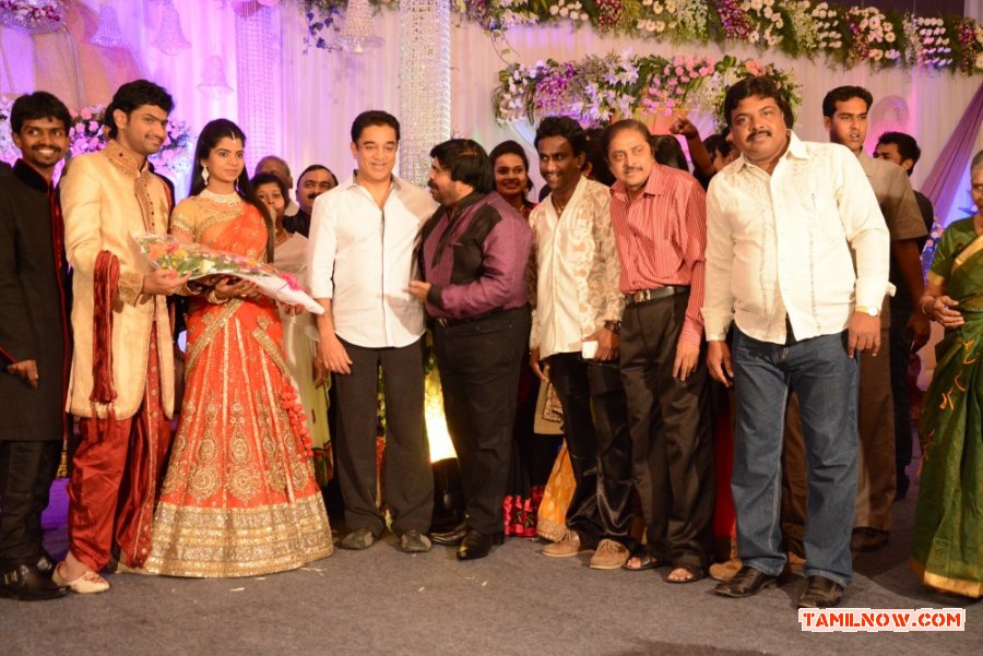 T Rajendran Daughter Wedding Reception With Kamalhaasan 805
