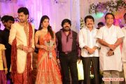 Tr Daughter Ellakkiya Wedding Reception Photos 5730