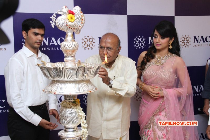 Event Trisha Launches Nac Jewellers Perambur Photos 3404