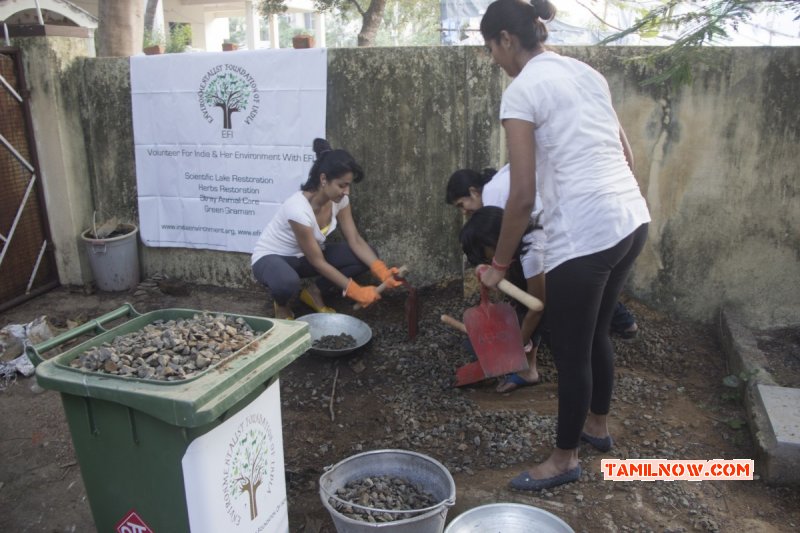 Pics Trisha Participates In Swachh Bharat 7391