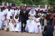 Udayathara Wedding Reception 8295