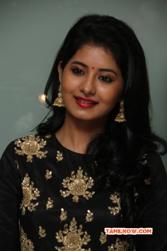 Urumeen Movie Audio Launch Function Albums 592