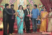 V Swamynathan Son Reception 3879