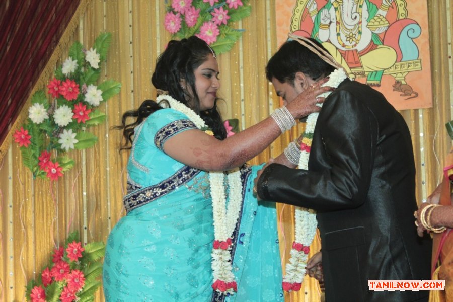 V Swamynathan Son Reception 5442