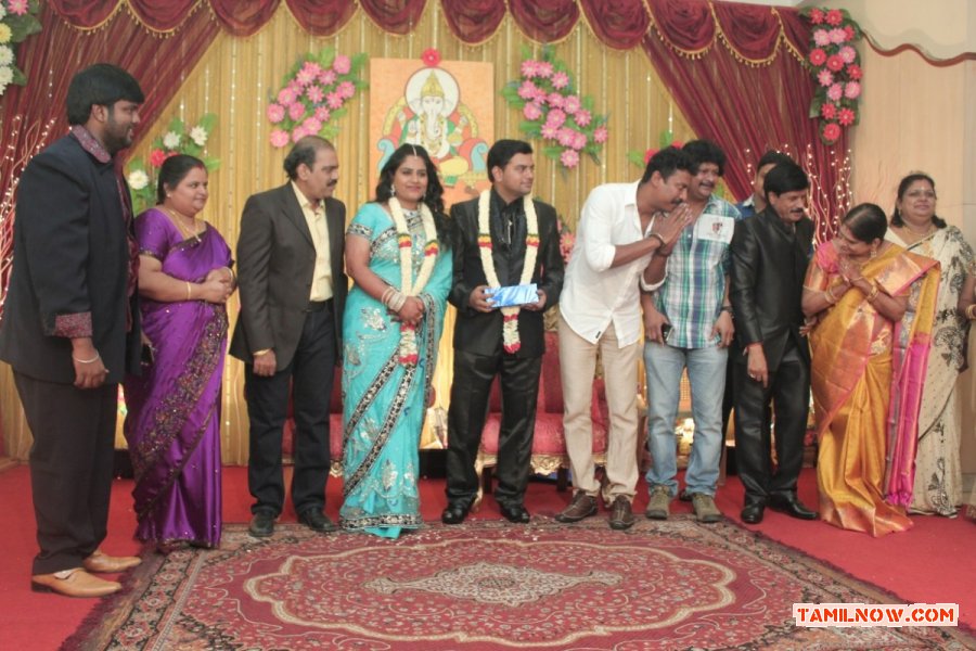 V Swamynathan Son Reception 7875