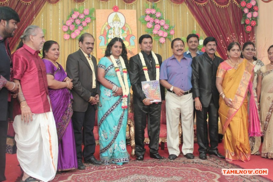 V Swamynathan Son Reception Photos 5713