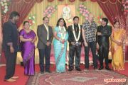 V Swamynathan Son Reception Photos 6346