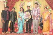 V Swamynathan Son Reception Photos 958